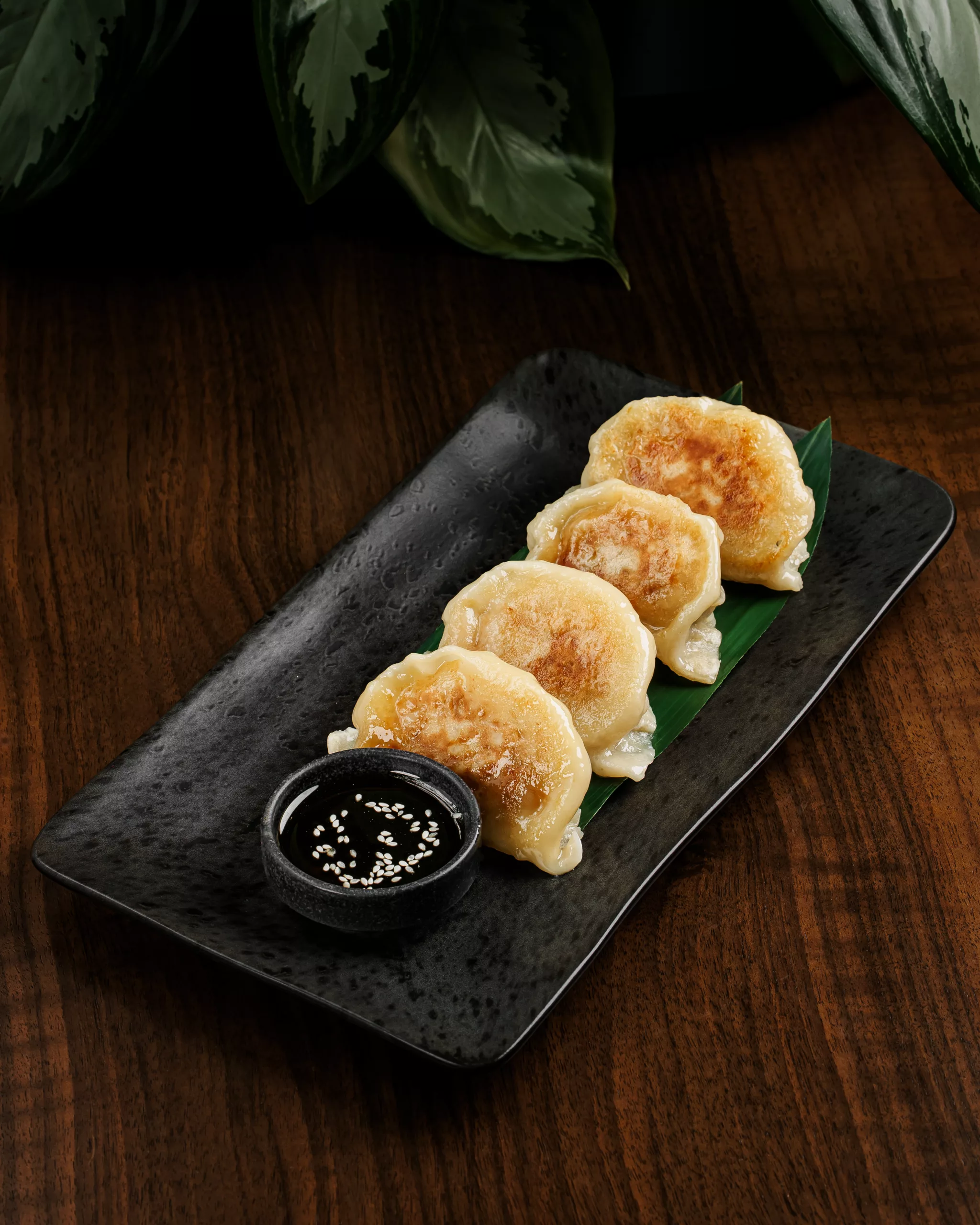 Gyoza